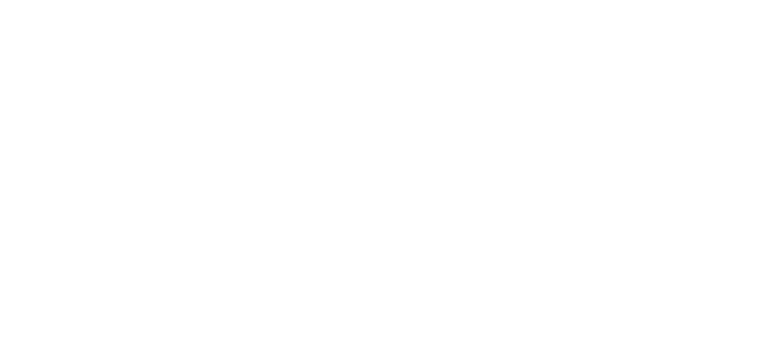 Twelve wm logo rgb white
